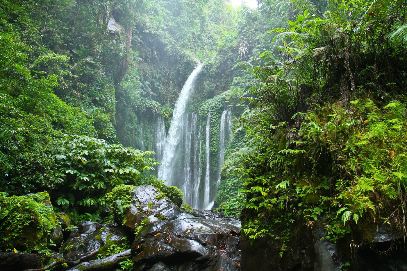 Wide curtain of water falling into a jungle pool at Tiu Kelep waterfall near Senaru